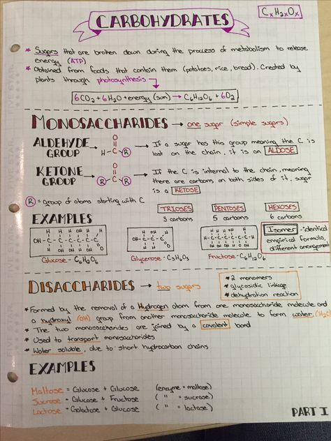 Carbohydrates (monosaccharides and disaccharides) Types Of Carbohydrates, Biology Carbohydrates Notes, Monosaccharides Notes, Carbohydrates Notes Biology, Bsc Biotechnology Notes, Carbohydrates Chemistry, Biochemistry Notes Carbohydrates, Macromolecules Biology Notes, Carbohydrates Notes