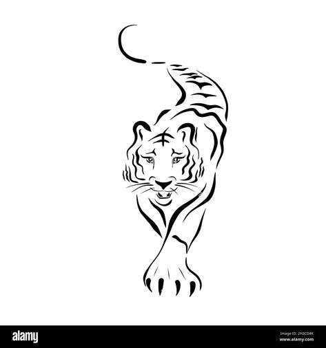 Modern Tiger Tattoo, Tiger Ankle Tattoo, Painted Shirt, Tiger Tattoos, Back Tats, Wolf Sketch, Tiger Tattoo Design, Tiger Drawing, Small Girl Tattoos