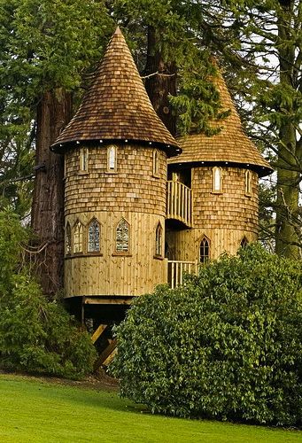 ˚Treehouse - Kilmarnock, Scotland Beautiful Tree Houses, Cool Tree Houses, Beautiful Tree, Play Houses, My Dream Home, Future House, A Tree, Tree House, In The Middle