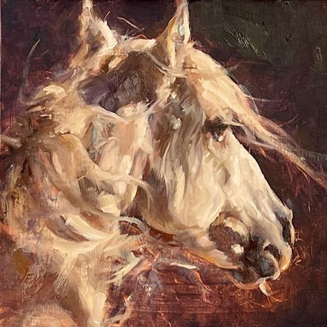 Equine Art Abstract, Equine Artwork, Oil Pastel Colours, Horse Oil Painting, Beautiful Arabian Horses, Horse Artwork, Most Beautiful Horses, Grey Horse, Painted Pony