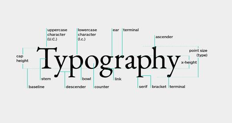 What is Typography in Design? Why is it Important? (2023) Leading Typography, Anatomy Of Typography, What Is Typography, Typography Terms, Typography Rules, Free Typeface, Text Frame, Principles Of Design, Typography Graphic