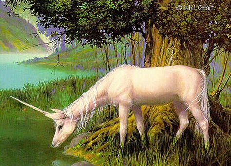 unicorn drinking water outta lake Unicorn Real Life, Unicorn Laying Down, Horse Drinking Water, Unicorn Forest Art, Unicorn Water, Nostalgic Childhood, Unicorn Horse, Drinking Water, Moose Art