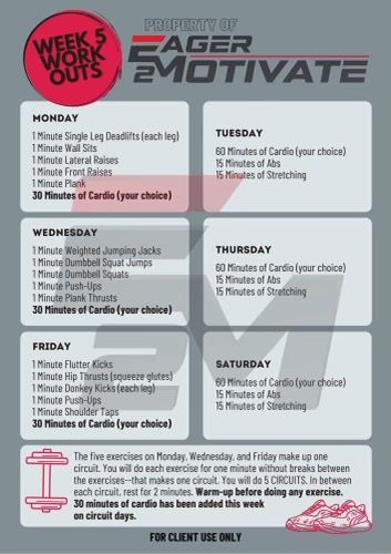 Dumbbell Side Lateral Raise, Dumbbell Bicep Curl, Dumbbell Shoulder Press, Dumbbell Squat, Dumbbell Curls, Air Squats, Tricep Extension, Hammer Curls, Flutter Kicks