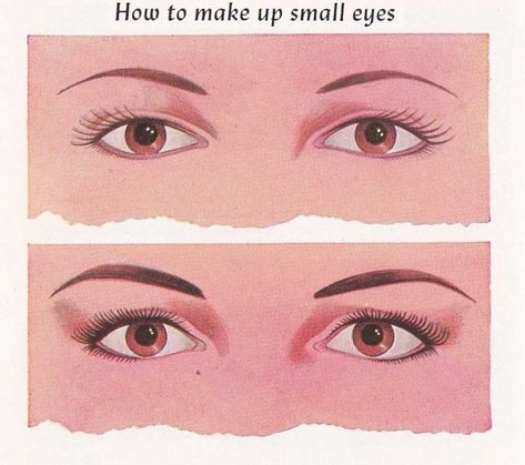 Max-Factor---The-Art-of-1950s-Eye-Makeup---small-eyes 1950s Eyeshadow, 1950's Hair, Makeup Chart, Free Hairstyles, Drawing Wrinkles, 1950s Makeup, Vintage Tips, 50s Makeup, Pastel Eyeshadow