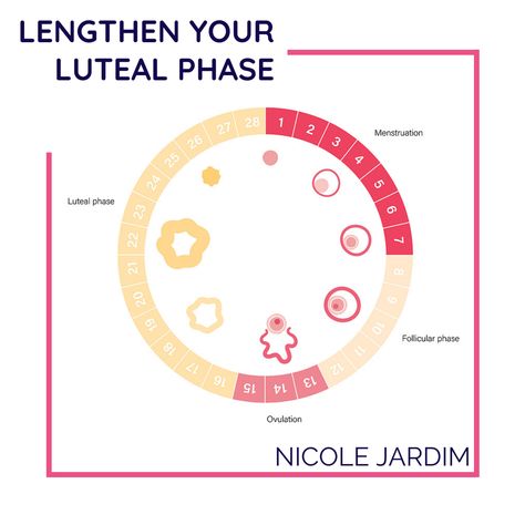 Two of the most common questions I get are how to lengthen your luteal phase and how to lengthen your cycle in genera. Great questions indeed because I am personally familiar with the issue of having a too-short luteal phase and the suffering it causes me and the people around me (hee hee). Short Luteal Phase, Pregnancy Trimester, Period Cravings, Menstruation Cycle, Cycle Tracking, Period Cycle, Luteal Phase, Healthy Period, Great Questions