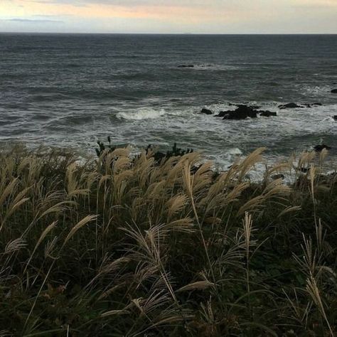 Paradis Sombre, The Maze Runner, Photographie Inspo, Dark Academia Aesthetic, Palawan, Academia Aesthetic, Nature Aesthetic, Pretty Places, Infj