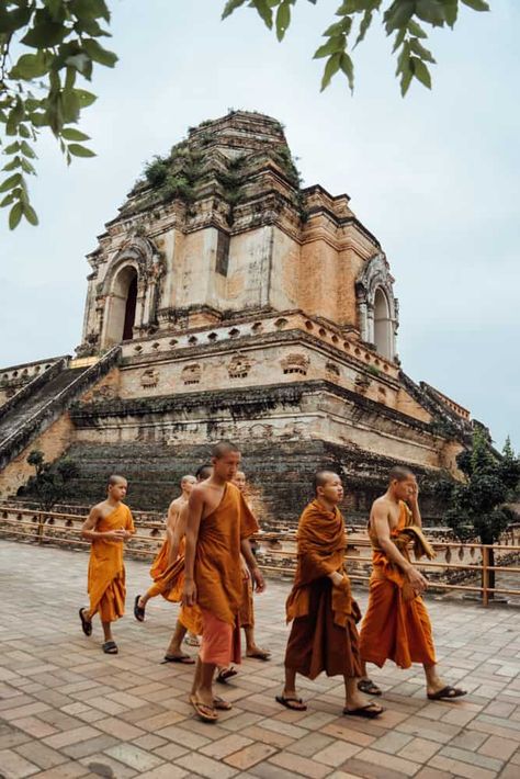 10 BEST Things To Do In Chiang Mai, Thailand 10 Thailand Aesthetic Chiang Mai, Chiang Mai Thailand Photography, Chiang Mai Thailand Aesthetic, Thailand Attractions, Traveling Thailand, Travelling Asia, South East Asia Backpacking, Rich City, Doi Inthanon National Park