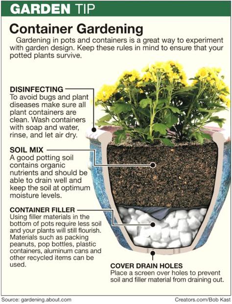 نباتات منزلية, Container Gardening Flowers, Garden Containers, Kraf Diy, Small Space Gardening, Flowers Garden, Gardening For Beginners, Lawn And Garden, Container Plants