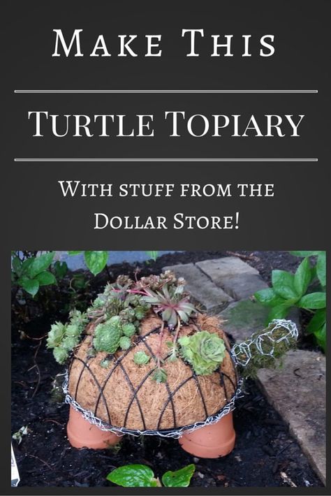 A Succulent Turtle Topiary Succulent Turtle, Turtle Planter, Cinder Block Garden, Garden Frogs, Topiary Garden, Succulent Gardening, Garden Markers, Seasonal Garden, Diy Garden Projects