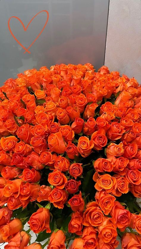 Orange Roses Bouquet Aesthetic, Orange Roses Aesthetic, Orange Flowers Aesthetic, Orange Flower Bouquet, Orange Rose Bouquet, Roses Orange, Luxury Flower Bouquets, Prettiest Bouquet, Boquette Flowers