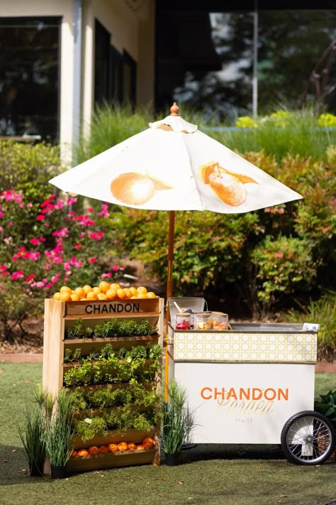 Chandon Garden Spritz - PR Event in Atlanta, GA | The Vendry Brunch Event Decor, Gin Activation, Event Launch Ideas, Pr Event Ideas, Corporate Event Styling, Pimms Bar, Chandon Garden Spritz, Launch Event Ideas, Foodtrucks Ideas