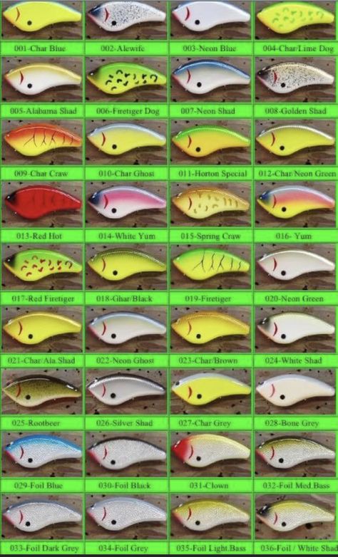 Fish Chart, Custom Fishing Lure, Homemade Fishing Lures, Diy Fishing Lures, Lure Making, Fishing Diy, Air Brush Painting, Bass Fishing, Fishing Tips