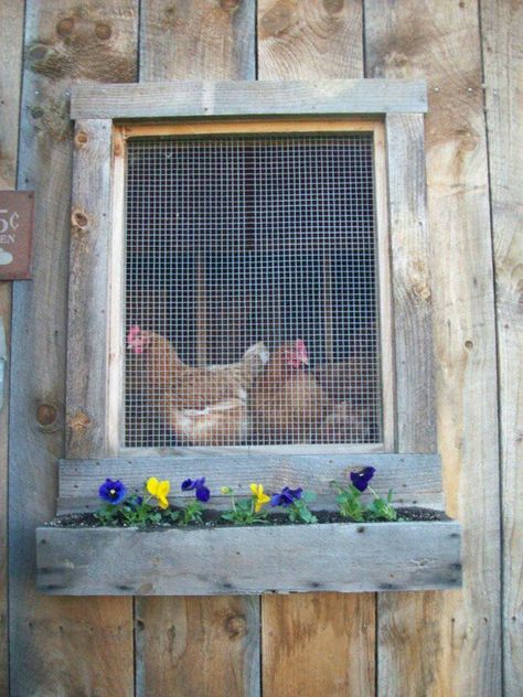 chickens Chicken Coop Windows, Coop Windows, Making Chicken, Future Farms, Keeping Chickens, Chicken Lady, House Window, Hen House, Chickens And Roosters