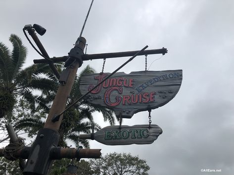 Have You Noticed These Imagineering Details on The Jungle Cruise? - AllEars.Net Magic Kingdom Rides, Musical Background, Cruise Disney, Disney World Rides, Disney Secrets, Jungle Cruise, Disney Attractions, Mouse Trap, Disney Rides