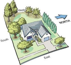 Tree Planting Layout, Front Yard Trees Placement, Tree Groupings Landscape, Backyard Tree Placement, Tree Placement In Yard, Tree Placement In Backyard, Where To Plant A Tree In Backyard, Tree Placement In Front Yard, Tree Placement