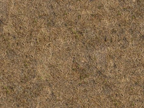 Land Texture, Ground Texture, Grass Texture, Green Land, Landscape Architecture, Sprouts, Photoshop, Texture, How To Plan