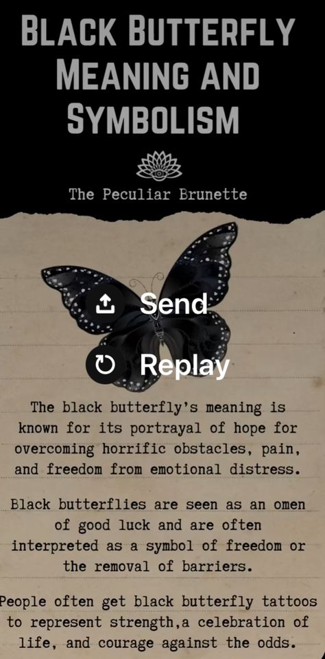 Black Butterfly Symbolism, Black Butterfly Tattoo Design, Black Butterfly Tattoo Meaning, Black Butterfly Meaning, Practical Magic Tattoo, Snake Tattoo Meaning, Butterfly Symbolism, Butterfly Meaning, Black Butterfly Tattoo