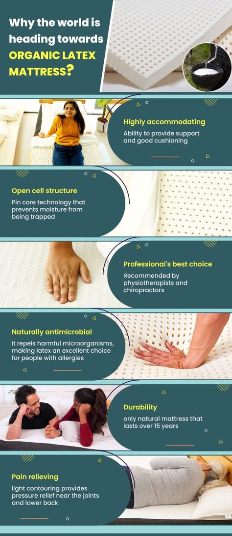 Read why the world is choosing latex mattress? Eco Friendly Mattress, Hevea Brasiliensis, Light Contouring, Natural Latex Mattress, Latex Pillow, Online Mattress, Natural Mattress, Natural Structures, Latex Mattress