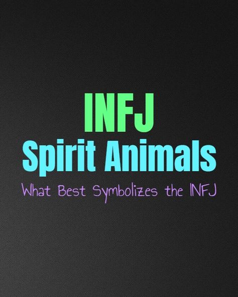 Infj Spirit Animal, Infj Door Slam, Infj Quotes, Infj Relationships, Personalidad Infj, Psychology Memes, Infj Psychology, Personality Growth, Infj Personality Type