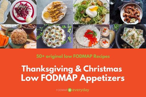 Thanksgiving Low Fodmap Holiday Appetizers, Low Fodmap Christmas Appetizers, Low Fodmap Appetizer Recipes, Fodmap Appetizers Parties, Low Fodmap Appetizers Parties, Low Fodmap Christmas Recipes, Christmas Entree Recipes, Christmas Dinner Starters, Fodmap Appetizers