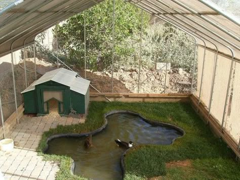 37 Free DIY Duck House / Coop Plans & Ideas that You Can Easily Build Duck Enclosure, Duck House Plans, Reban Ayam, Duck Pen, Duck Pens, Backyard Ducks, Duck Coop, Duck Stuff, Raising Ducks