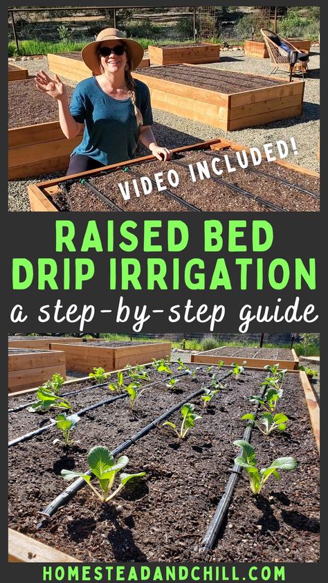 Drip irrigation saves time, energy, money and water - and makes plants grow healthier than ever! Learn how to set up automated drip irrigation for raised garden beds using drip tape with these step-by-step instructions. Video included! #dripirrigation #raisedbeds #gardening #garden #gardentips Raised Bed Irrigation, Raised Garden Beds Irrigation, Garden Watering System, Vegetable Garden Raised Beds, Building A Raised Garden, Diy Raised Garden, Plants Growing, Raised Garden Beds Diy, Vegetable Gardens