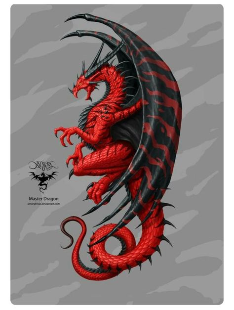 Black Dragon, Letter S, Red And Black, Orange, Red, Black