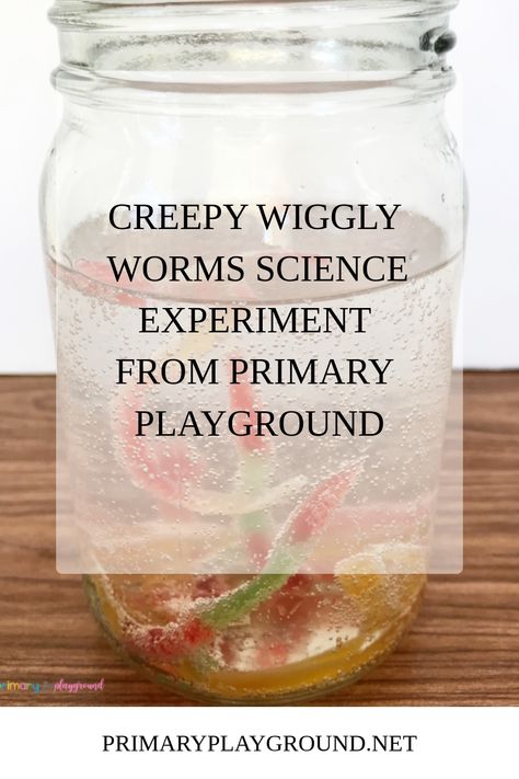 We love doing science experiments! They are such fun and engaging activities for little learners. Since it’s October, we’re sharing a fun Creepy Wiggly Worms Science Experiment today. This would be a fun, quick and easy experiment as part of a Fun Friday, or even as a station during your Halloween party! Wiggly Worm Craft, Frankenstein Science Experiment, Worm Science Experiment, Worm Science, Worm Crafts, Halloween Science, Fun Friday, Mad Science, Gummy Worms