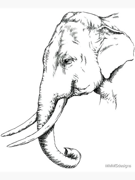 Animal Black And White Drawing, Asian Elephant Drawing, Asian Elephant Tattoo, Elephant Pencil Drawing, Elephant Head Drawing, Drawing With Background, Indian Elephant Drawing, Indian Elephant Tattoo, Elephant Art Drawing