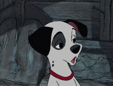 One Hundred And One Dalmatians, 101 Dalmatians 1961, Rod Taylor, 101 Dalmatians Cartoon, 101 Dalmations, Disney 101 Dalmatians, Images Disney, Disney Gif, Disney Dogs