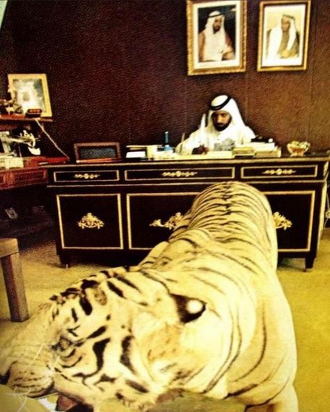 Rich Arab Aesthetic, Rich Arab, Arab Money, History Uae, Khaleeji Lifestyle, Arabian Culture, Arab Core, Khaleeji Aesthetic, Royal Animals