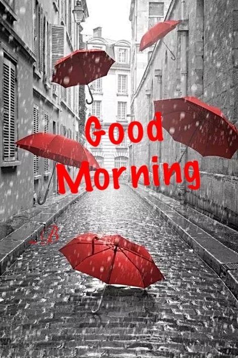 Rainy Morning Aesthetic, Rainy Morning Quotes, Morning Rainy Day, Rainy Day Images, Rainy Good Morning, Good Morning Rainy Day, Nice Good Morning Images, Good Morning My Friend, Good Morning Post