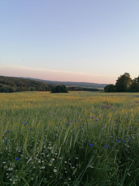 Rhett Eaton, Summer Hamilton, Elsie Silver, Grassy Field, Grass Field, Pretty Landscapes, Family Road Trips, Carbon Footprint, Nature Aesthetic