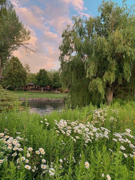 Lush, Trees, Forest, Lake, Twitter, Flowers, Green, White