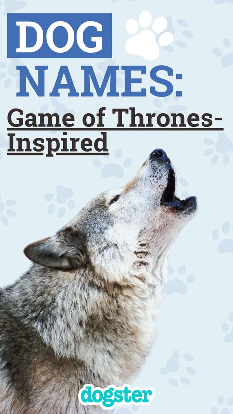 We created a list of all the best Game of Thrones names, suited for any dog, that will enhance their personality and give them a unique-sounding name. Game Of Thrones Names, The Best Game, Names Ideas, Dog Names, Best Games, All The Best, Game Of Thrones, Dogs