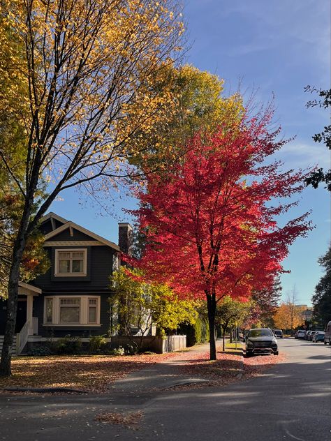 Cottage Lake, Fall Trees, Fall Mood Board, All Falls Down, Red Leaves, Autumn Scenery, Fall Halloween Decor, Fall Is Here, Big Dreams