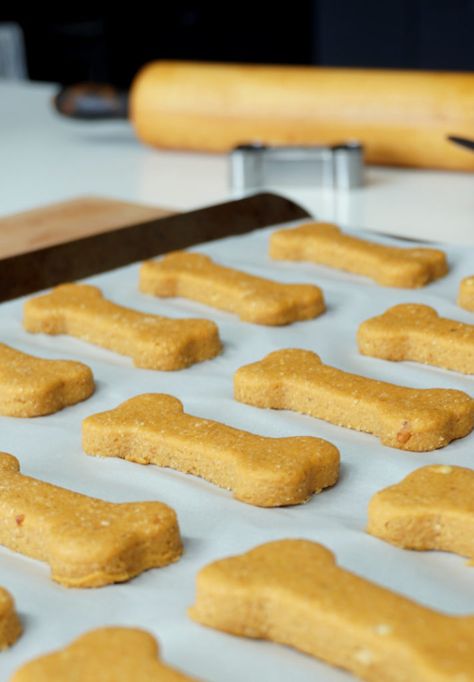 4 Ingredients Homemade Dog Treats Dog Cookie Recipes, Homemade Dog Cookies, Soft Dog Treats, Lizzie Borden, Dog Treats Homemade Easy, Doggy Treats, Dog Biscuit, Dog Biscuits Homemade, Dog Biscuit Recipes