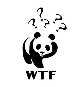 WWF - WTF Worlds Cutest Animals, Screen Printing Projects, Wild Kingdom, Art Appliqué, Question Everything, High Quality Wallpapers, Drum And Bass, Design Graphique, Nature Animals