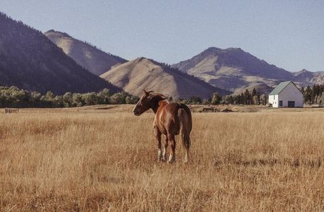 Cowboy Aesthetic, Western Life, Western Aesthetic, Southern Gothic, Ranch Life, Vintage Americana, In Another Life, Take Me Home, Horse Girl