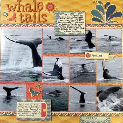 Iceland Scrapbook, Mexico Scrapbook, Cruise Scrapbook Layouts, Scrapbooking Alaska, Alaska Scrapbook, Hawaii Scrapbook, Camping Scrapbook, Scrapbooking Layouts Travel, Cruise Scrapbook