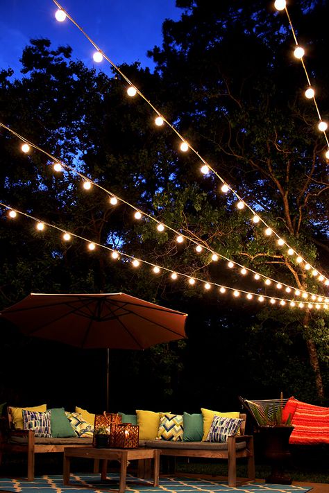 A Canopy of String Lights in our Backyard Christmas Lights Outdoor Trees, Backyard String Lights, Christmas Lights Outside, Backyard Trees, Backyard Canopy, Outdoor Trees, Patio Canopy, Design Blogs, Diy Outdoor Decor