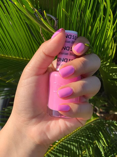 Dnd Cotton Candy Nails, Dnd Victorian Blush, Dnd Dip Powder Colors Pink, Pink Nails Dnd Gel, Summer Dnd Nail Colors, Pink Dnd Gel Polish, Dnd Light Pink Gel Polish, Dnd Pink Nails, Dnd Gel Polish Colors Spring