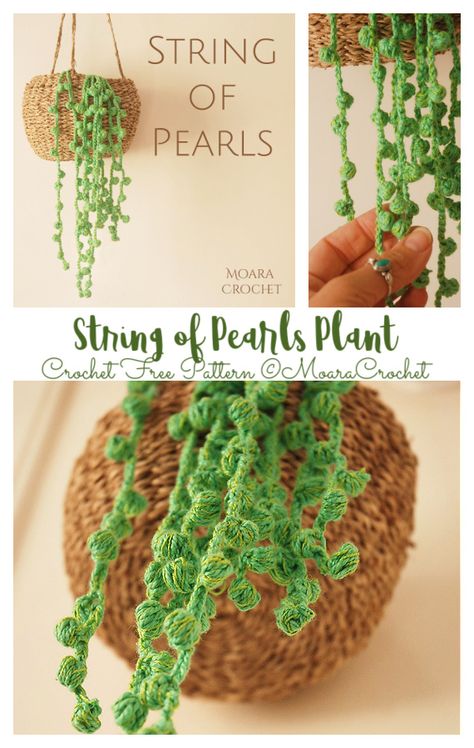 String of Pearls Plant Crochet Free Pattern Plant Crochet, String Of Pearls Plant, Crochet Succulent, Crochet Plant Hanger, Crochet Plant, Crochet Leaves, Crochet Home Decor, String Of Pearls, Crochet Free