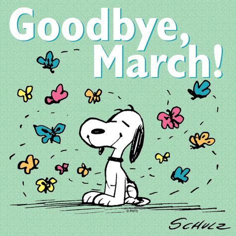 (♡´ ꒳ ` )ﾉ                                                            Goodbye, March! Goodbye March, Peanuts Party, Hello April, Hello March, Peanuts Cartoon, Peanuts Characters, Snoopy Quotes, Snoopy Pictures, Snoop Dog