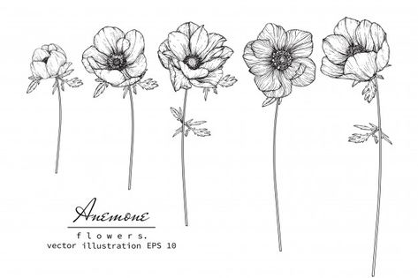 Anemone Tattoo Minimalist, Red Anemone Flower Tattoo, Anemone Tattoo Design, Anenome Flower Tattoos, Anemone Flower Drawing, Anemone Flower Tattoo, Anemone Drawing, Anenome Flower, Anemone Tattoo