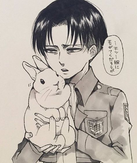 thanks for the memories 💞 on Instagram: “Petition for Levi to leave the Survey Corps, make a tea shop and get a dog? 👌 ~*~ Please make me aware of the artist! 🌸 ~*~ #leviackerman…” Milky Bunny, Anime Rabbit, Rabbit Icon, Survey Corps, White Rabbits, Fantasy Beasts, Thanks For The Memories, Anime Crossover, Realistic Drawings