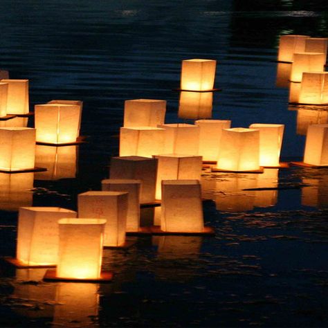 Floating Pool Decorations, Floating Water Lanterns, Hunters Wedding, Floating Paper Lanterns, Water Lantern, Wish Lanterns, Poolside Furniture, Pool Wedding, Floating Water