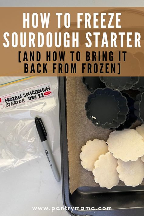 Can you freeze sourdough starter? Find out how to freeze and reactivate sourdough starter quickly and easily for long term storage. How To Revive Frozen Sourdough Starter, Frozen Sourdough Starter, Freeze Dry Sourdough Starter, How To Freeze Sourdough Starter, Freeze Dried Sourdough Starter, Freezing Sourdough Starter, How To Rehydrate Sourdough Starter, Freezer Friendly Sourdough Recipes, How To Dehydrate Sourdough Starter