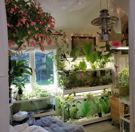 Fish Tanks Ideas Living Room, Simple Bedroom With Plants, Fish Tank Bedroom Ideas, Planted Fish Tank Ideas, Bedroom Terrarium, Terrarium Bedroom, Bookshelf Fish Tank, Fish Tank Bedroom, Axolotl Tank Ideas Aesthetic