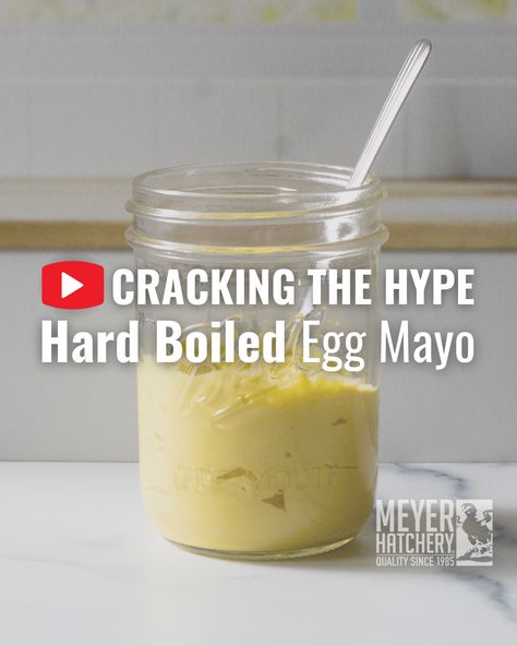 A jar of creamy Hard Boiled Egg Mayo, showcasing our latest video from the Cracking the Hype series by Meyer Hatchery. Mayonnaise Recipe With Boiled Eggs, Homemade Mayo Using Hard Boiled Eggs, Seasoned Mayo Recipe, Mayo With Boiled Egg, Boiled Eggs Mayonnaise, Homemade Mayo With Hard Boiled Eggs, Hard Boiled Egg Mayonnaise Recipe, Things To Make With Boiled Eggs, Hard Boiled Egg Mayonnaise